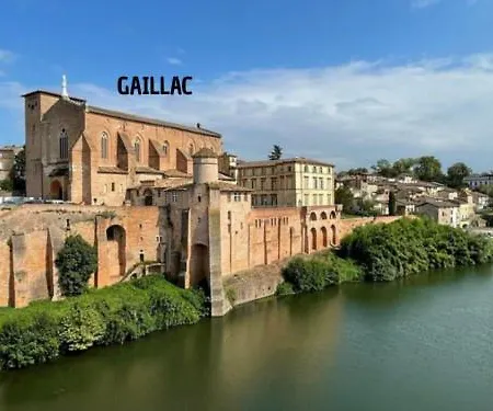 Le Loft Du Castel Bas - Pause Au Coeur Du Tarn Apartman *